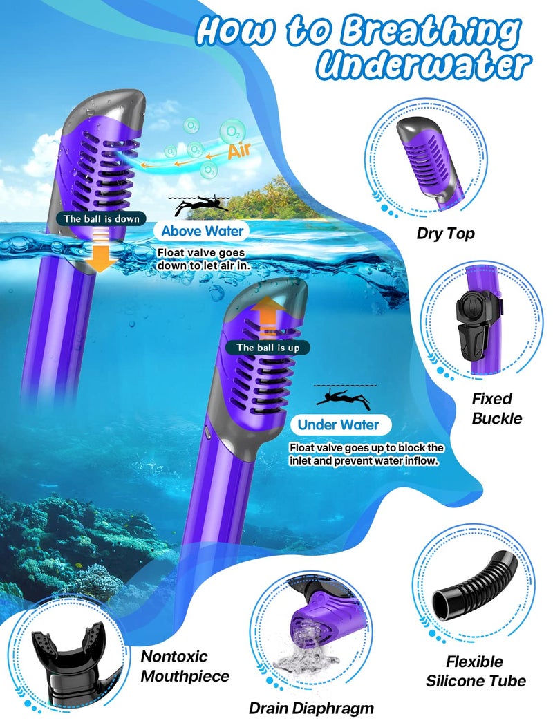 Zenoplige Mask Fins Snorkel Set, Snorkeling Gear for Adults, Panoramic View Snorkel Mask Anti-Fog, Adjustable Dive Flippers, Dry Top Snorkel and Travel Bag, Scuba Gear for Swimming Snorkeling Diving - Image 3